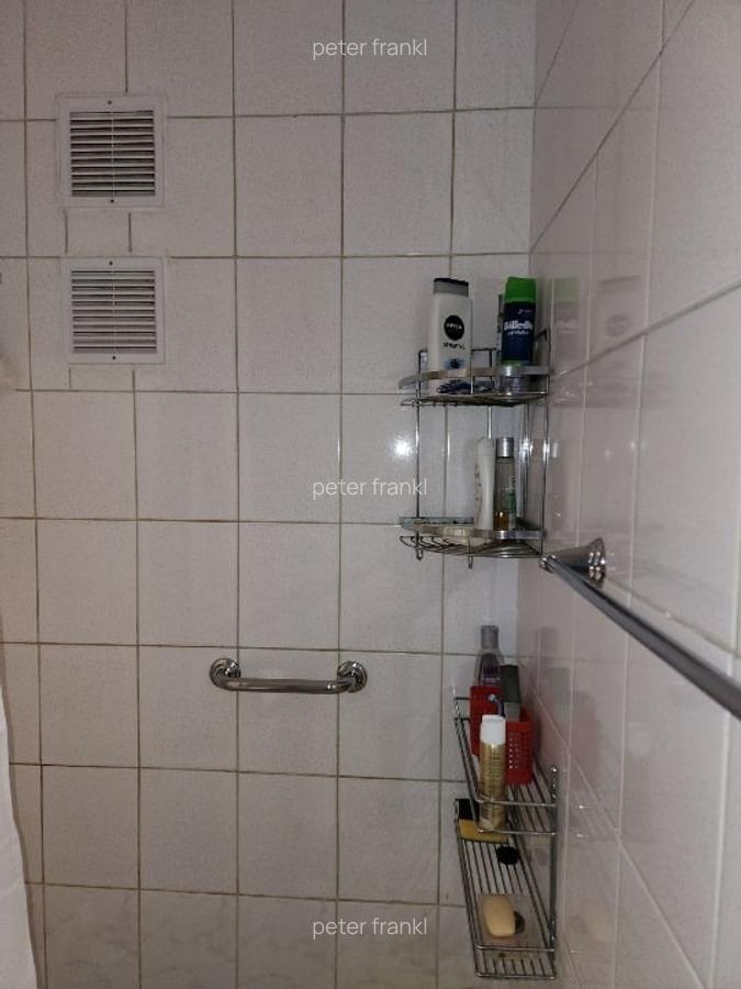 Apartament mic dar ingrijit. La Domenii, lângă liceu. - 8