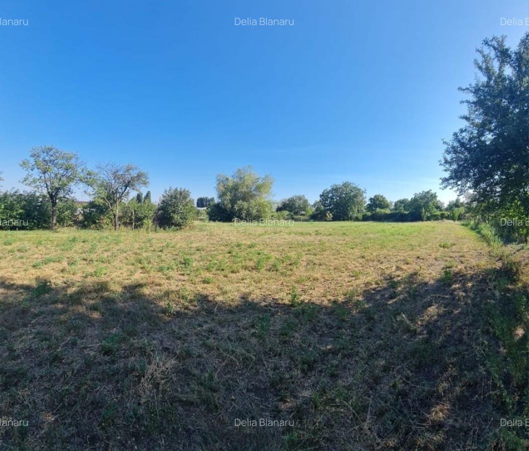 Teren 2236mp intravilan Jaristea - 4