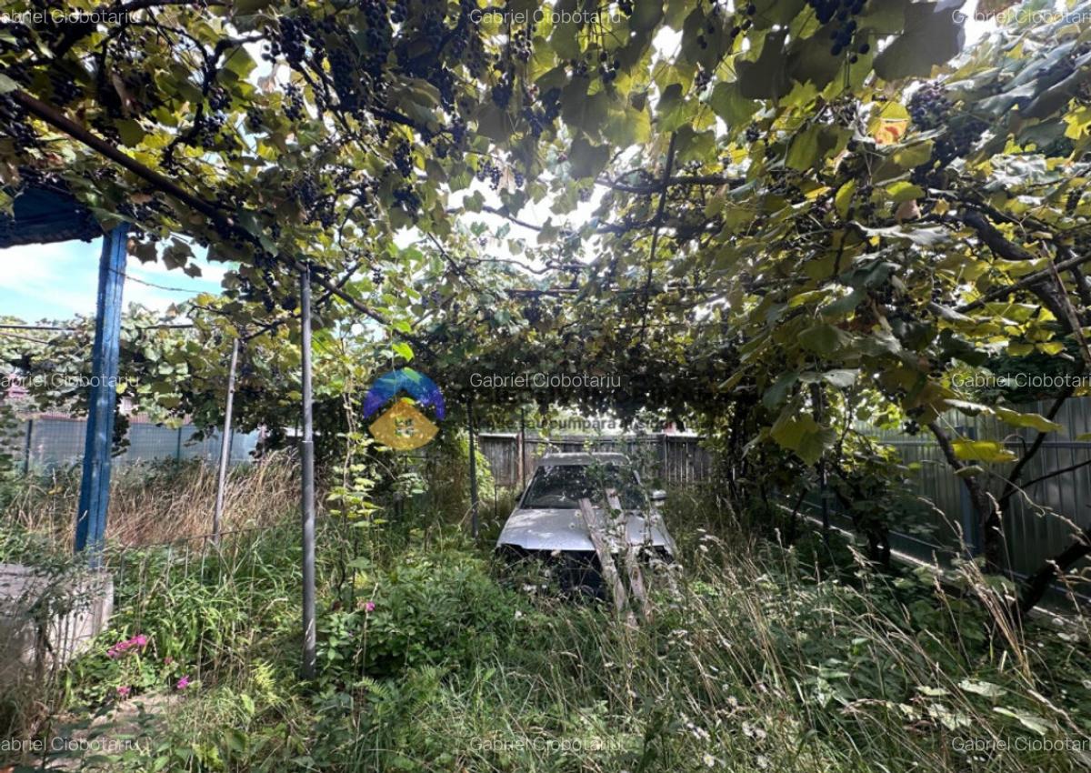 Teren + Casa de Vanzare 1170 mp Dumbrava Ro?ie, N - 5