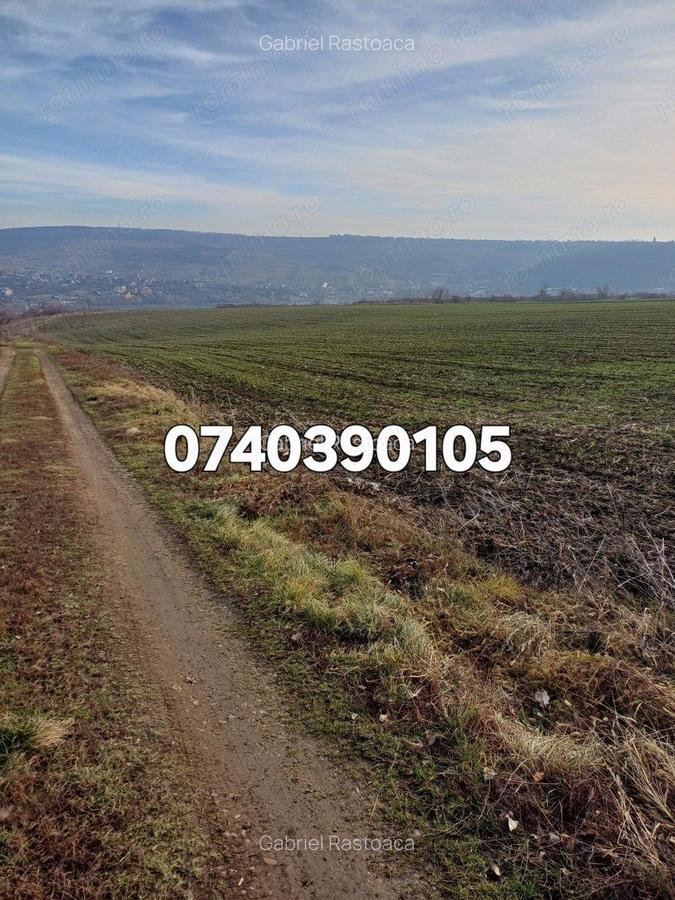 Teren 1950 mp Sorogari - 7