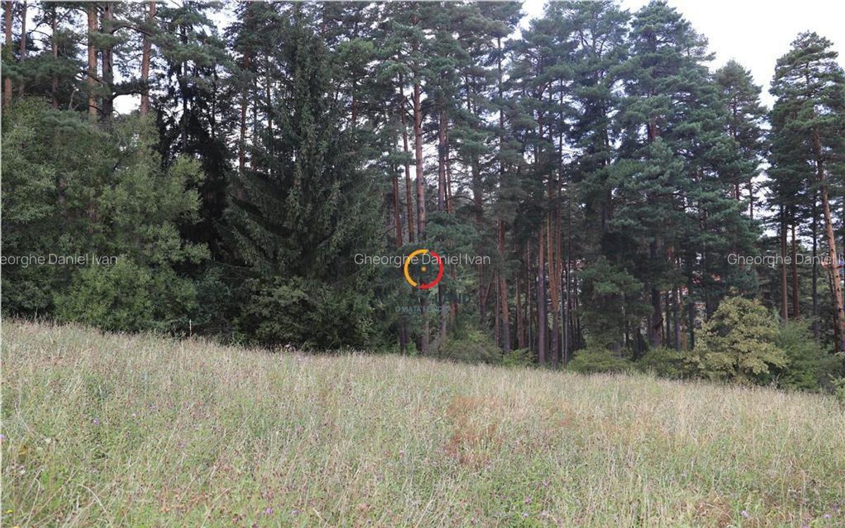 Teren intravilan cu PUZ si PUD 2 loturi - 3