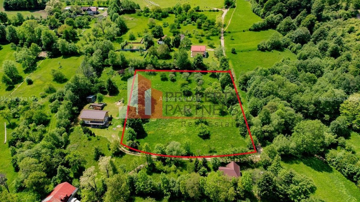 Teren Construcții intravilan de 6273 mp, în Bran - 5