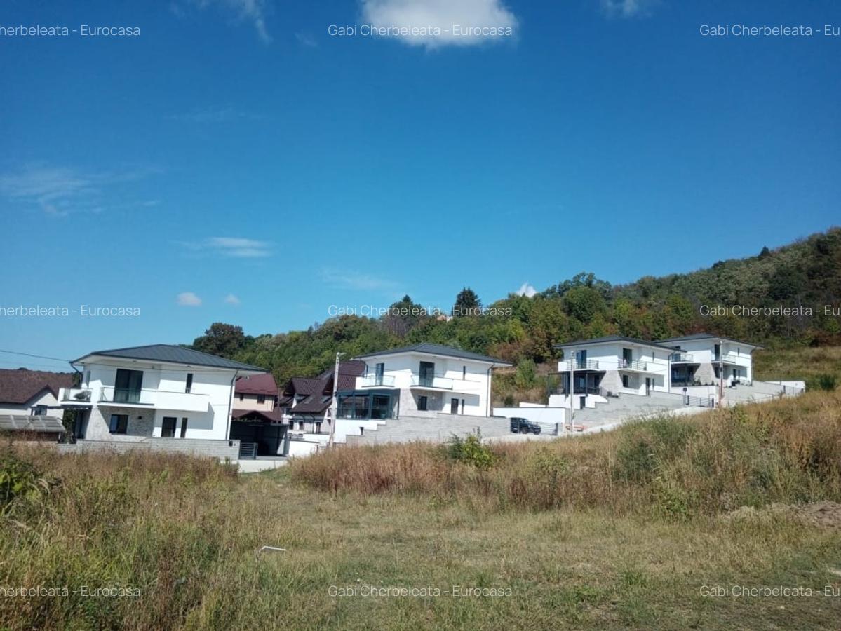 Vila Stefanesti Valea Mare - 3