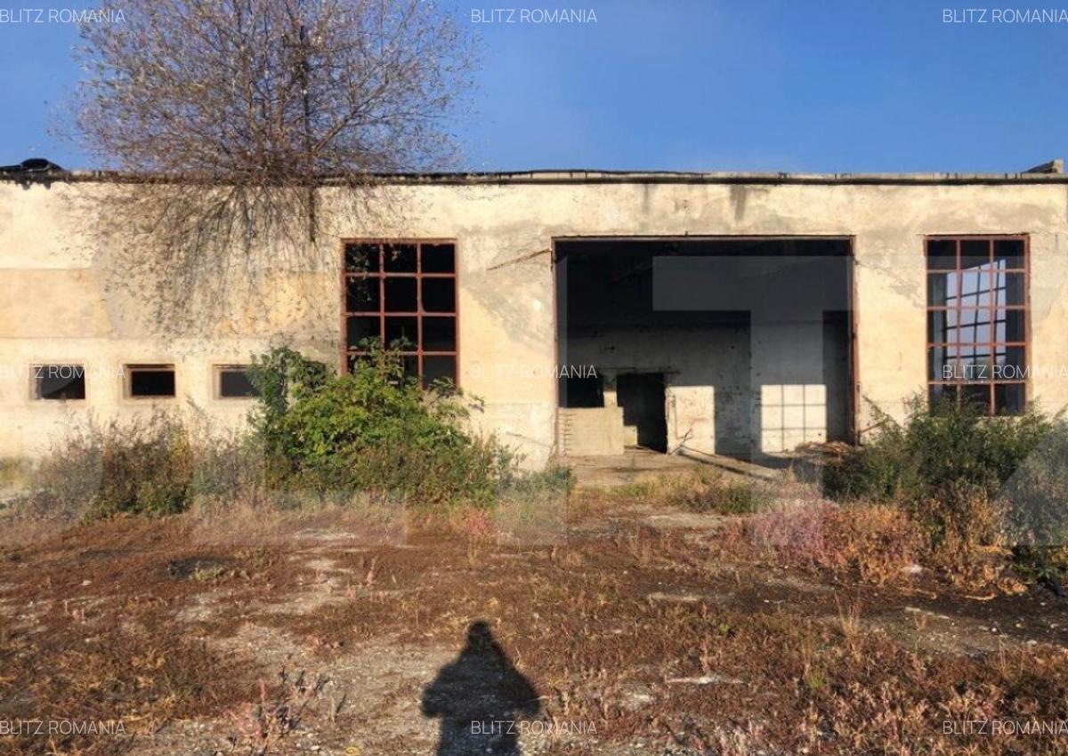 Ferma de vanzare in jud. Covasna, suprafata teren 4824 mp - 6 Ferma de vanzare in jud. Covasna, suprafata teren 4824 mp - 6