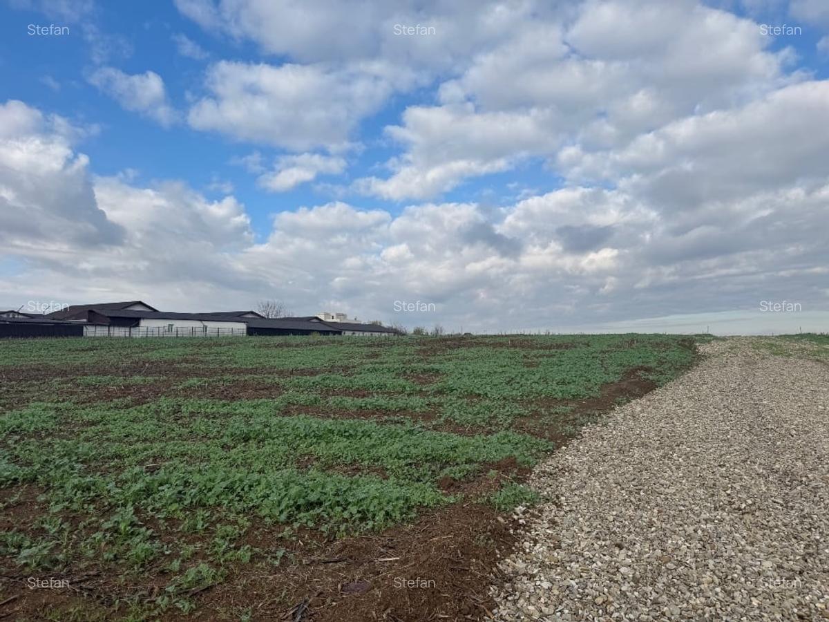 Piscu, Ciolpani, teren intravilan 1000 mp, str. Campului,aproape Muzeu, 29 eur - 5