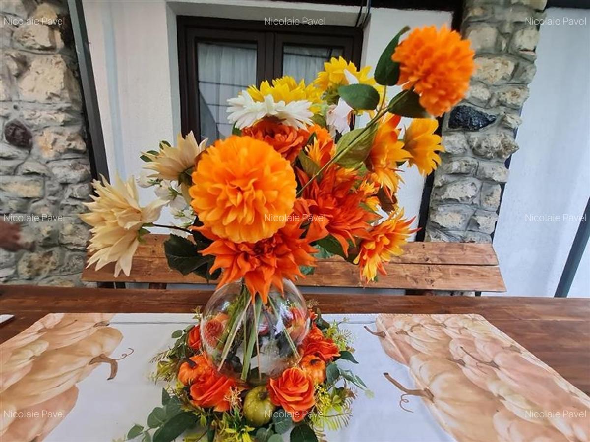 O alegere inspirata in inima vestitei statiuni montane,Imobilare&Transfer de Afa - 25