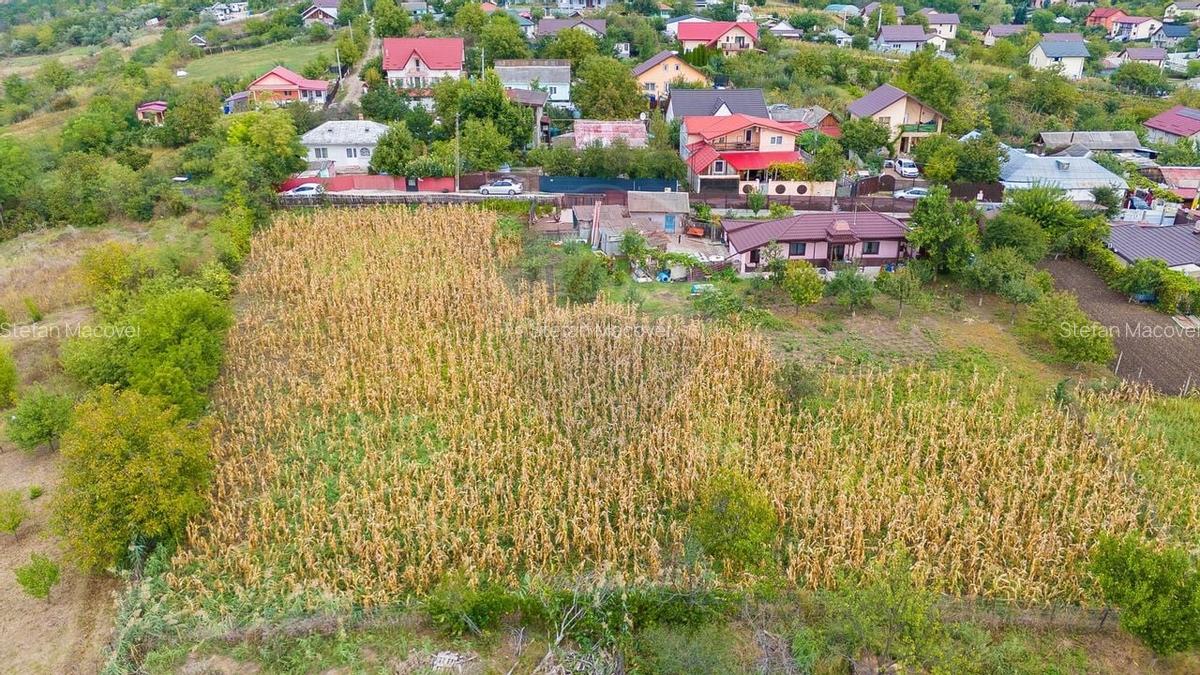 De Vanzare Teren Intravilan de 700 mp | Str. Viorelelor-Valea Lupului - 2