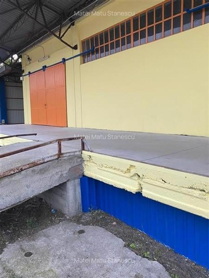 Spațiu industrial, 1040 mp în Șagului - 8
