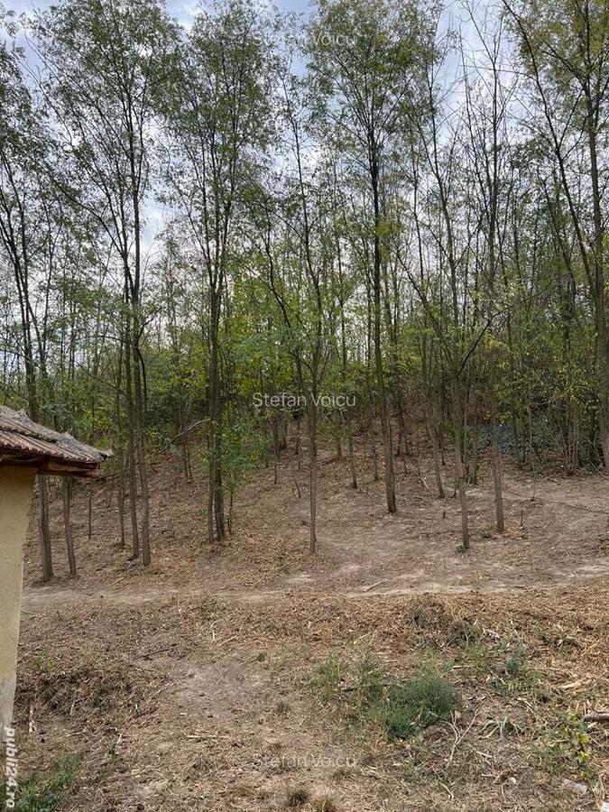 Casa de anzare con Ion corvin - 8 Casa de anzare con Ion corvin - 8