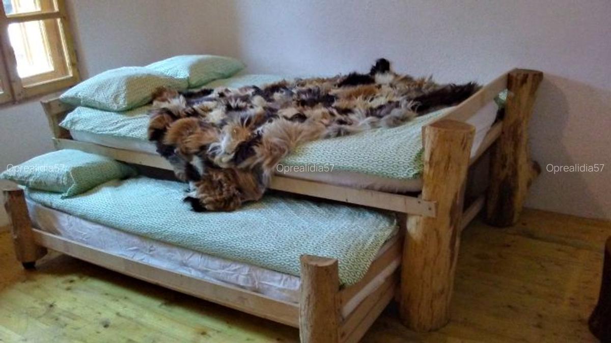 Vanzare Cabana in pitorescul peisaj din Plaiul Foii, Zarnesti Brasov - 5