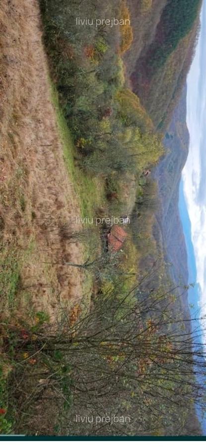 Vând casa batraneasca + teren + padure - 2