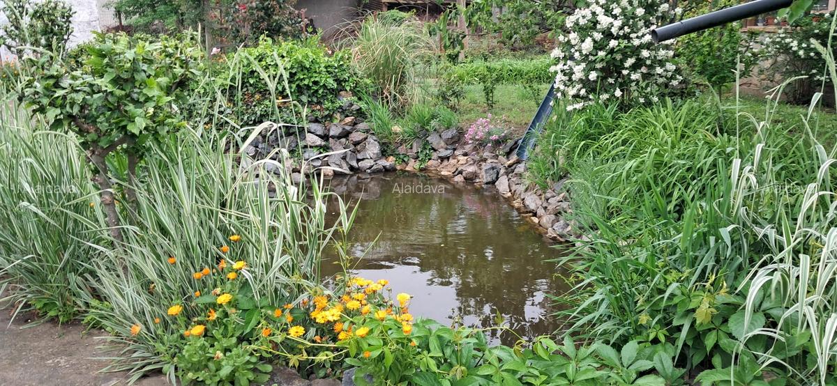 Lumina-teren 4297mp cu deschidere la DN - 2 Lumina-teren 4297mp cu deschidere la DN - 2