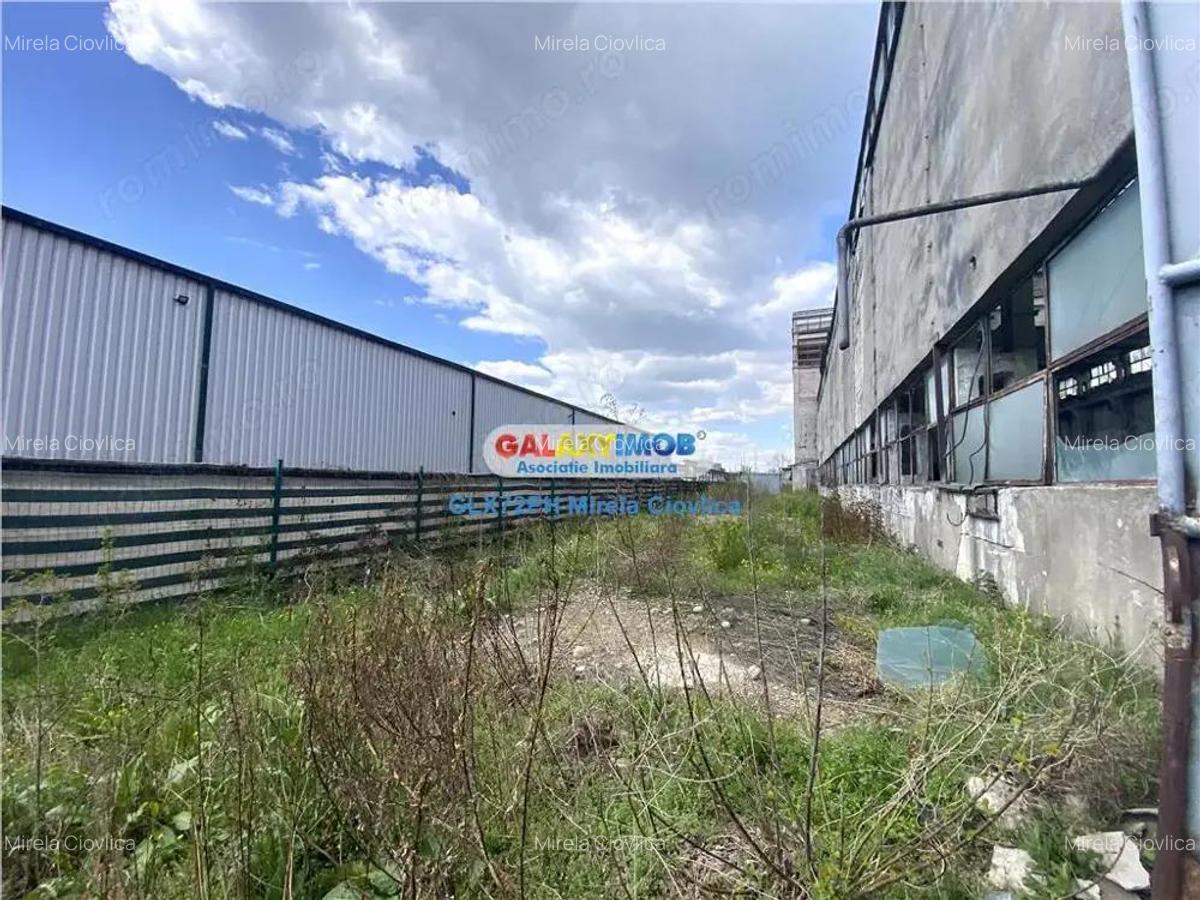 Vanzare Spatiu Industrial Pleasa - 12