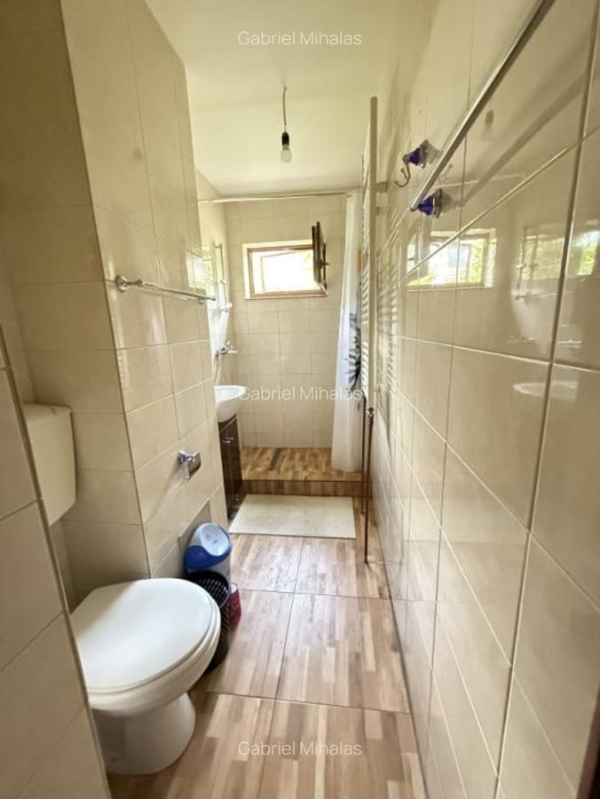 2 camere,Sagului-Poienitei, Semimobilat,Centrala proprie - 3