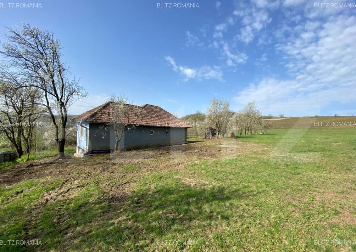 Casa cu 10000mp de teren in Buza, la 50 km de Cluj-Napoca - 8