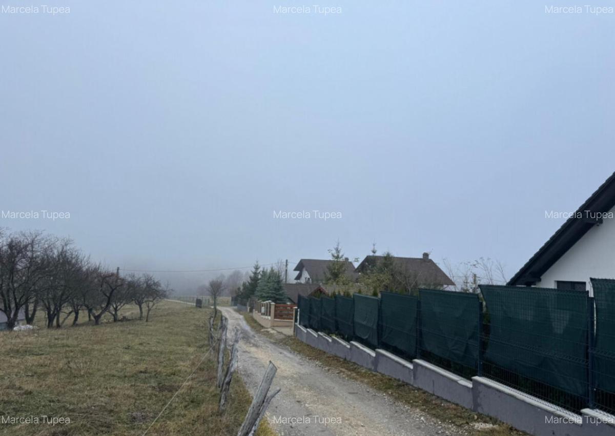 Teren Poiana Marului -Zarnesti -Brasov - 7