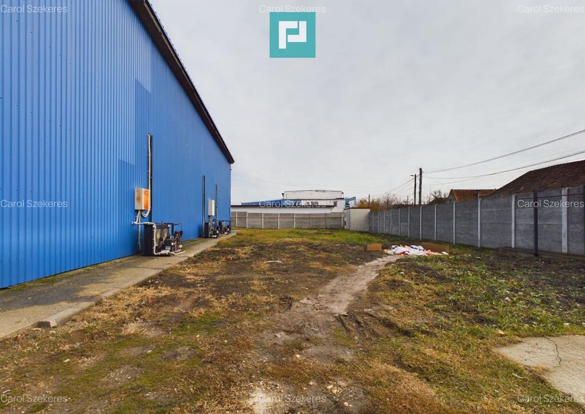 Depozit frigo de inchiriat in Sacalaz - 3