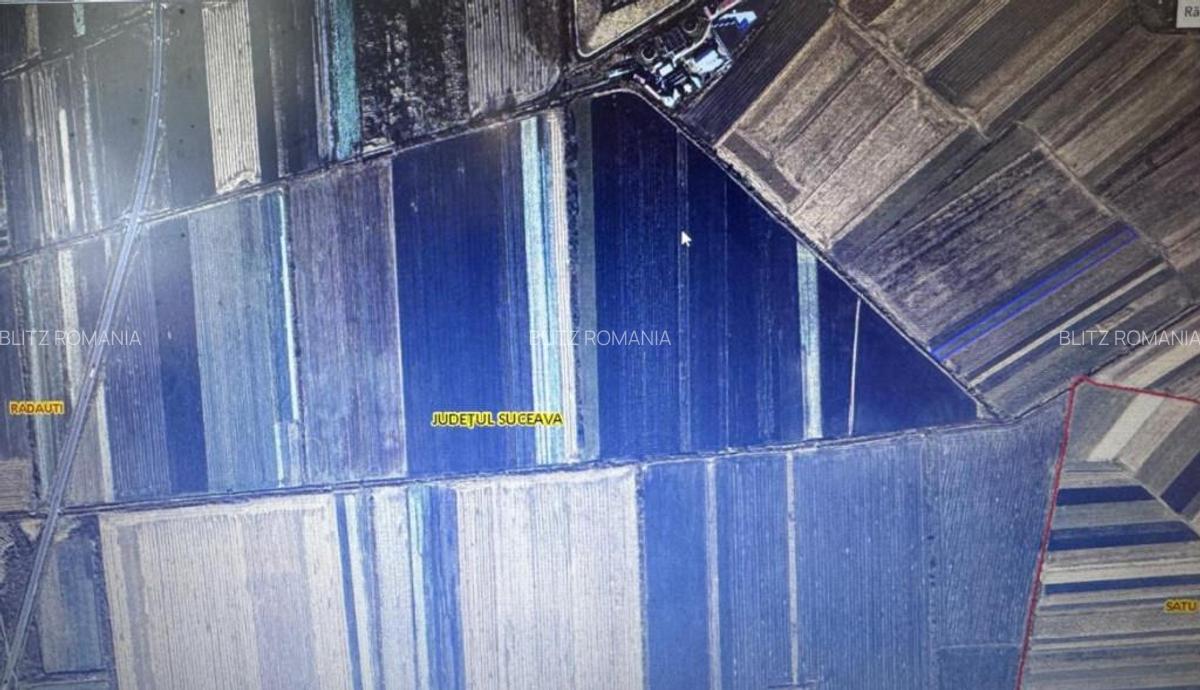 Teren extravilan , 5000mp, Radauti - 1