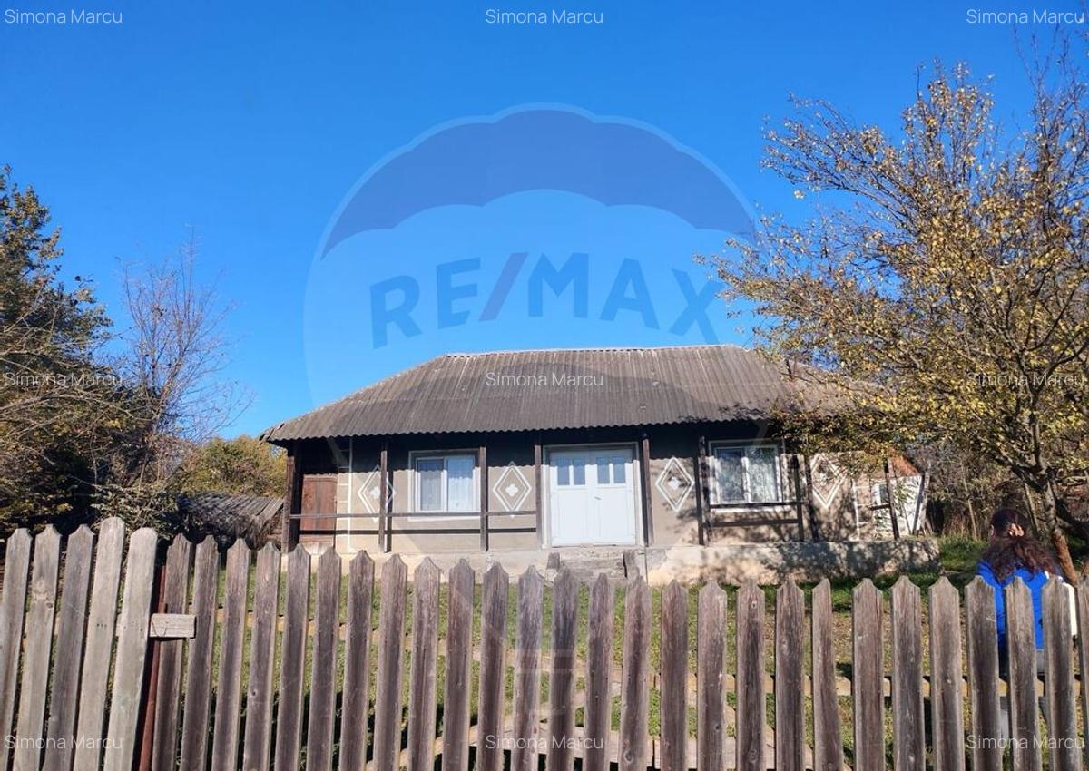 Casa / Vila cu 2 camere de vanzare - 2 Casa / Vila cu 2 camere de vanzare - 2