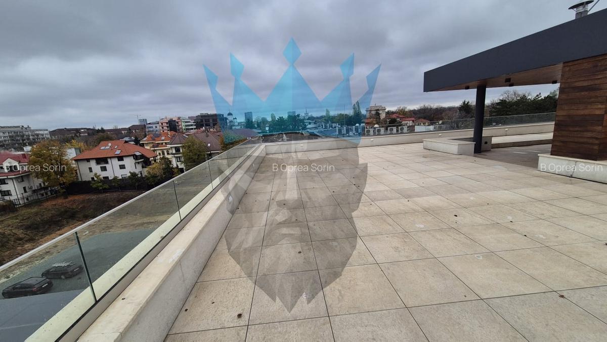 Penthouse 4 Camere Kiseleff Bucuresti - 11