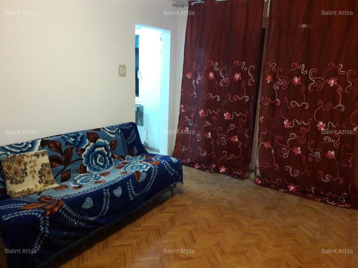 Sagului- Piata Doina 3 camere 400 euro - 8