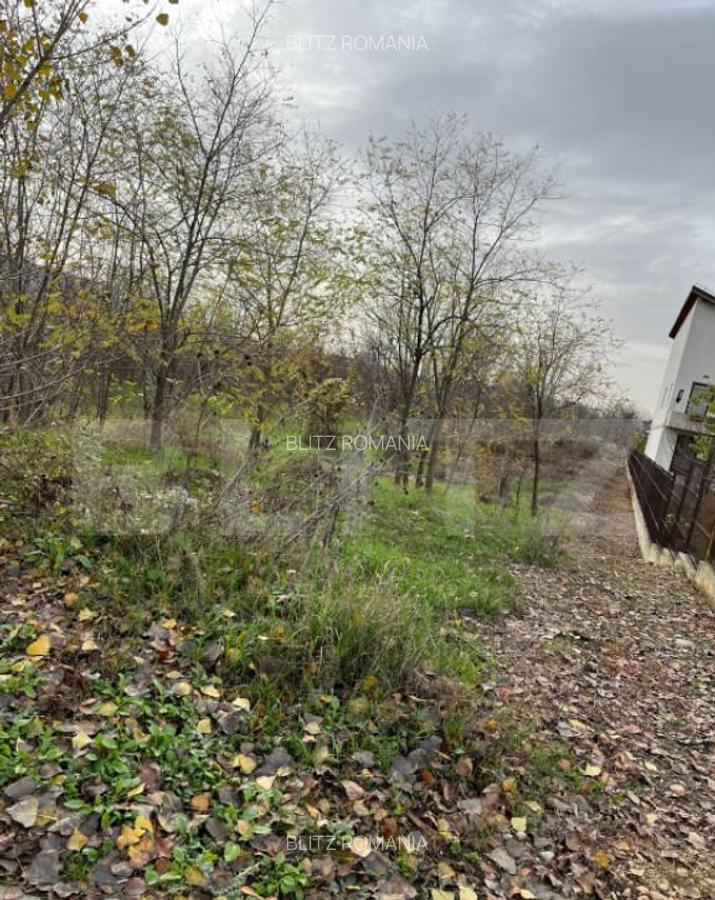 Teren de vanzare, 1200mp, zona Sideco - 2