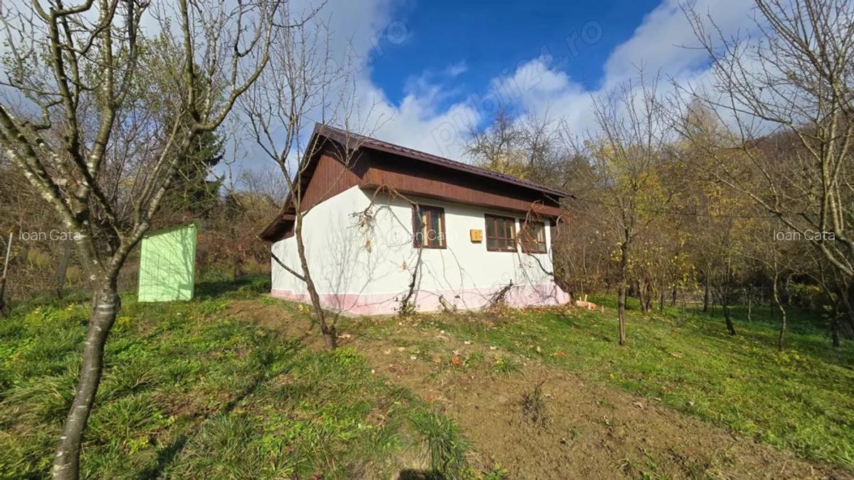 Casa de vacanta zona de padure, Trestioara Prahova - 7