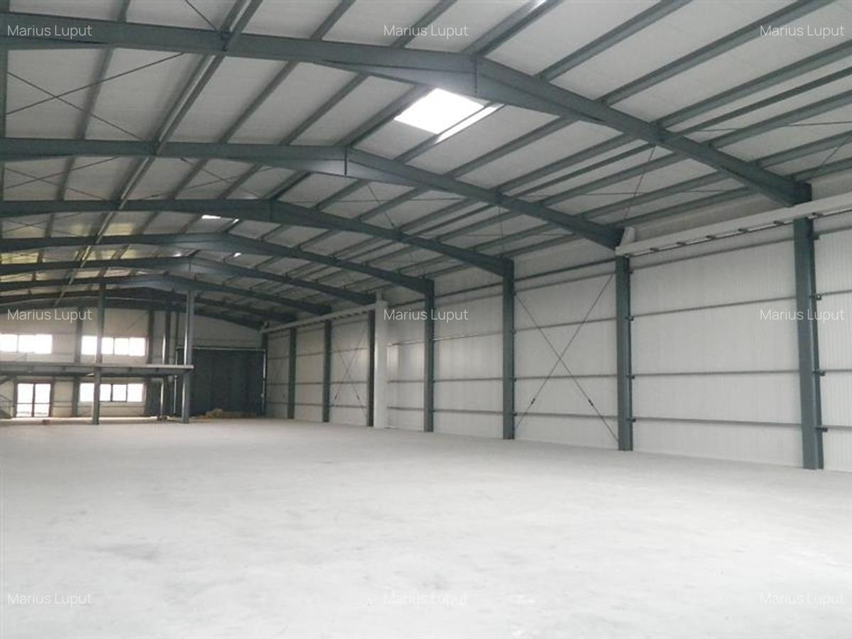 Spațiu industrial, 1000 mp în Torontalului - 1