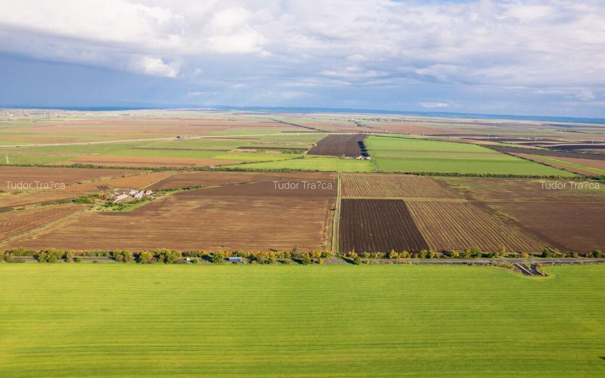 Teren de 100000 mp in Arad - 3 Teren de 100000 mp in Arad - 3