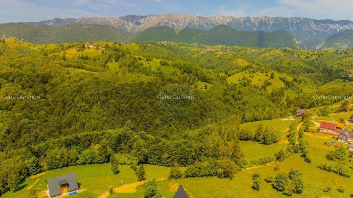 Teren extravilan 2,000mp Pestera / cabana vacanta/natura - 3