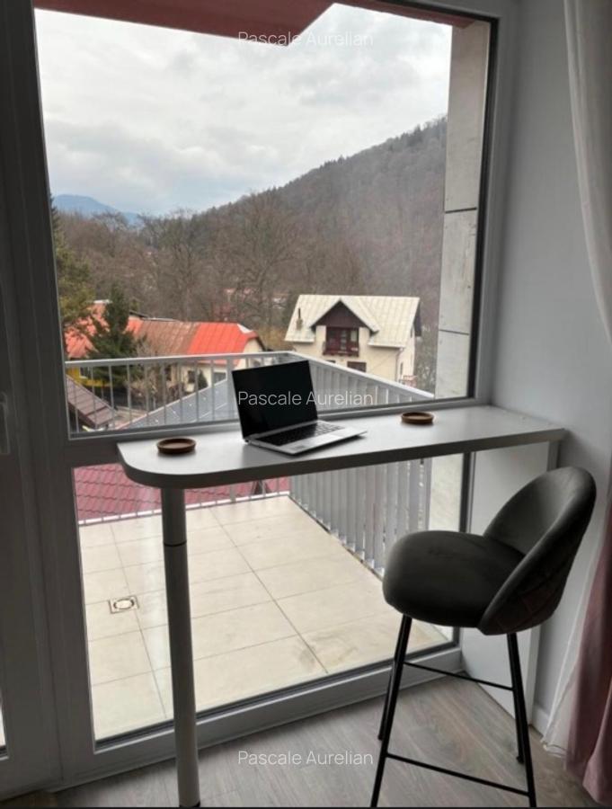 Studio Sinaia cu vedere spre munte - 9 Studio Sinaia cu vedere spre munte - 9