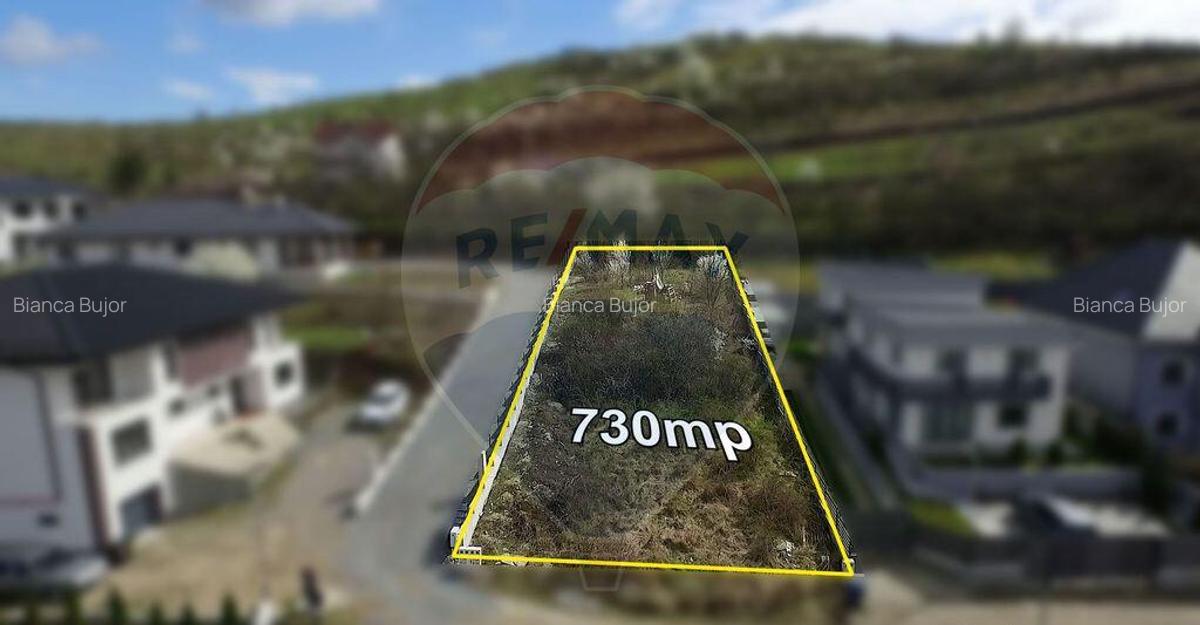 Teren intravilan de vanzare - 730mp - Dezmir - Strada Pad... - 1