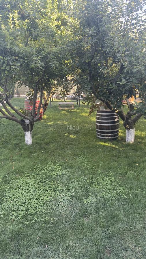 Vand casa ora? Giurgiu, drumul Amurgului - 9