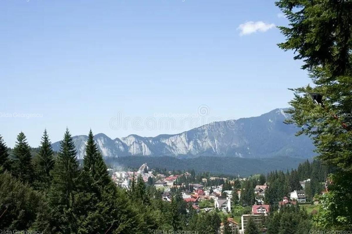 Hotel/Pensiune, 475 mp în Piața - 1