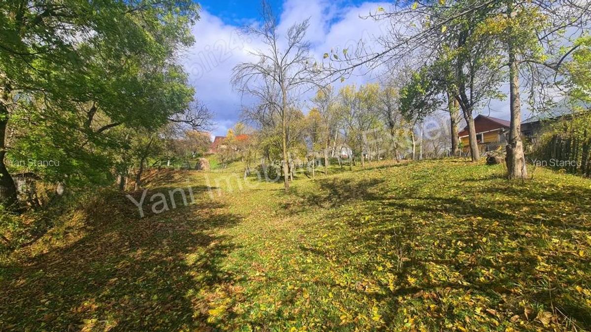 Teren de vanzare in comuna Arefu, jude? Arge?. - 3