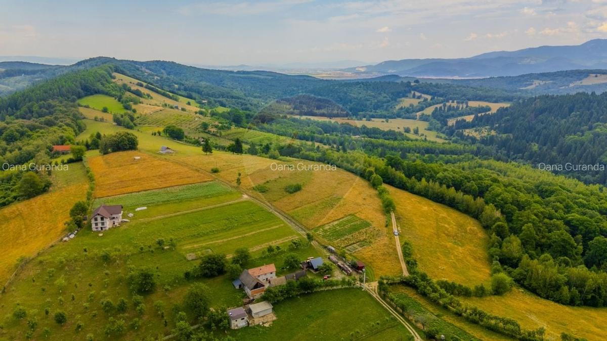 Teren Construcții intravilan de 11600 mp, în Poiana Mărului - 8