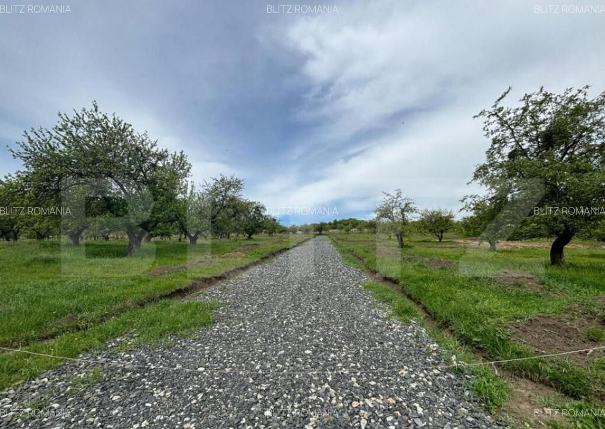 Teren extravilan, zona Sigmir,500mp - 2