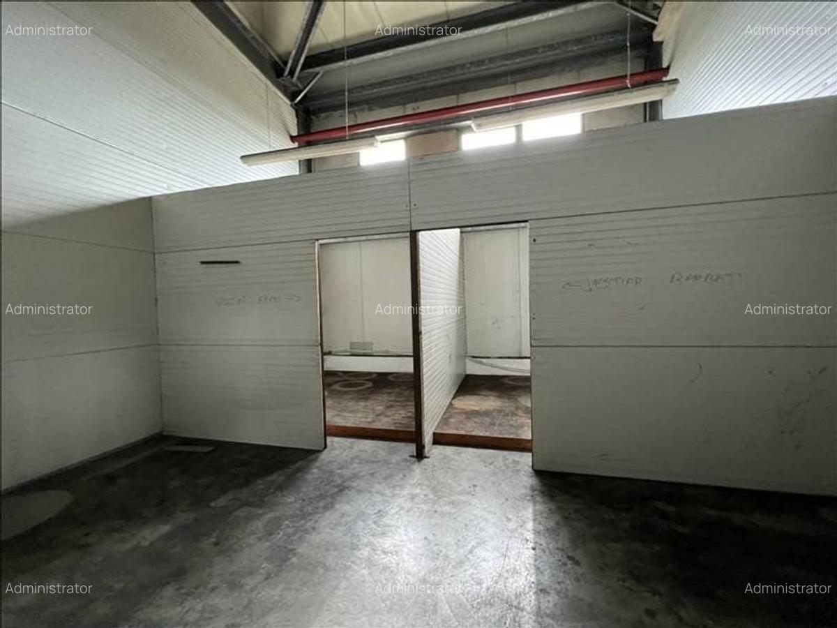 Spațiu industrial, 1310 mp în Mehala - 4