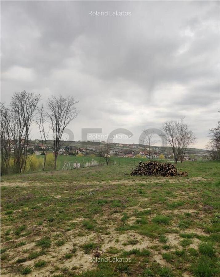 RECO . TEREN INTRAVILAN PALEU - 7