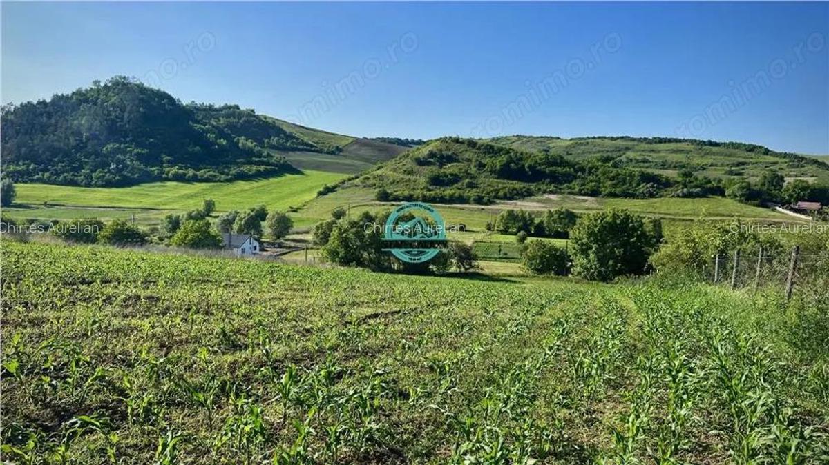 Vand teren intravilan in Sanisor cu suprafata de 4946 mp - 6