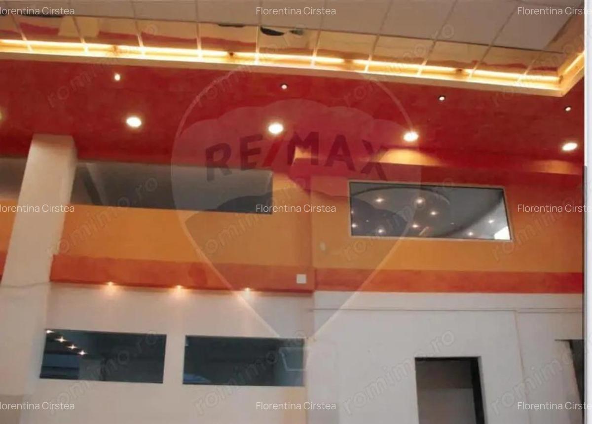 Spa?iu comercial de inchiriat Teiul Doamnei-Colentina - 2