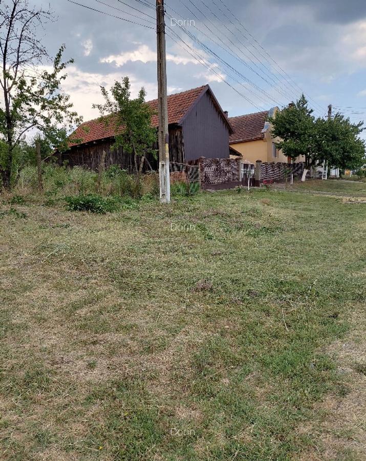Teren cur?i-constructii, central, in Silagiu-Buzias 900mp - 7