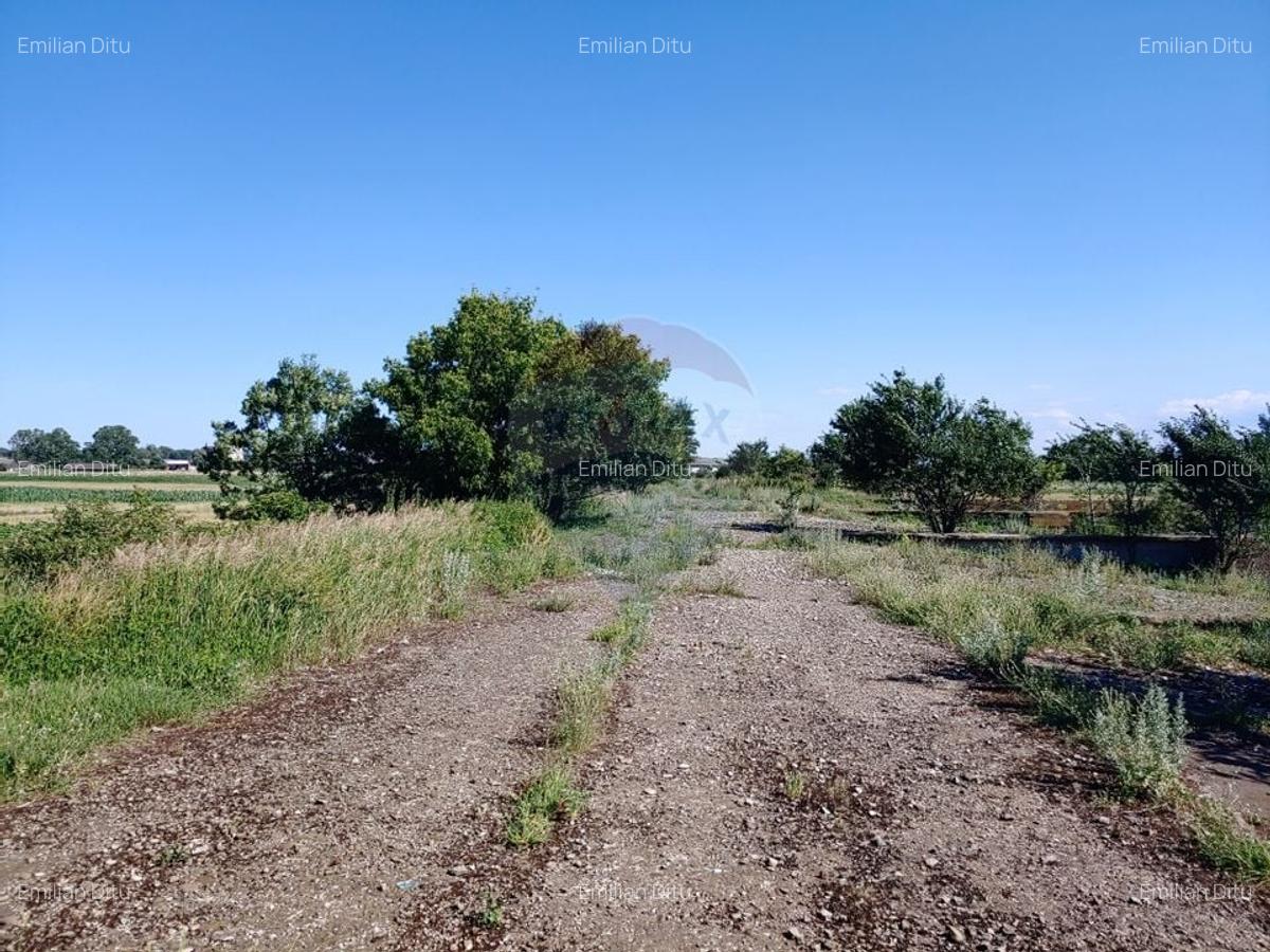 Spatiu industrial de 480mp+teren de 15069mp in Dornesti, Suceava - 18