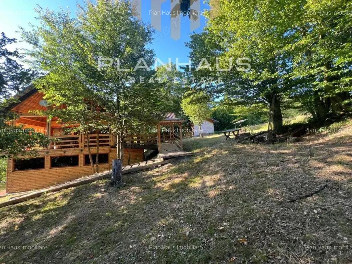 Oportunitate! Cabana de vis la Firiza 5 dormitoare, living spa?ios ?i teren generos de 4700 mp! - 9