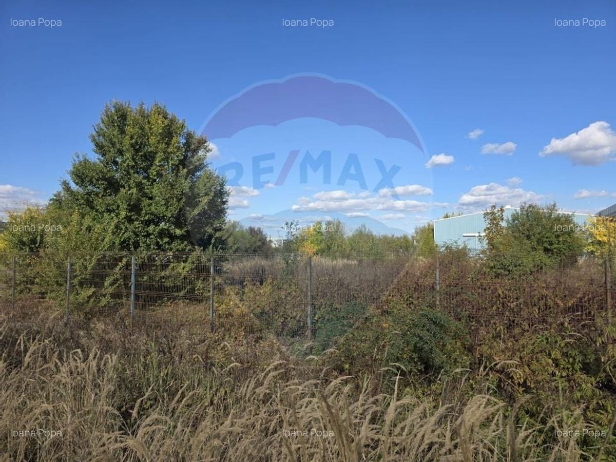Teren 12.400 mp Centura Stefanesti nod A3 optional plus 14.000 mp - 4