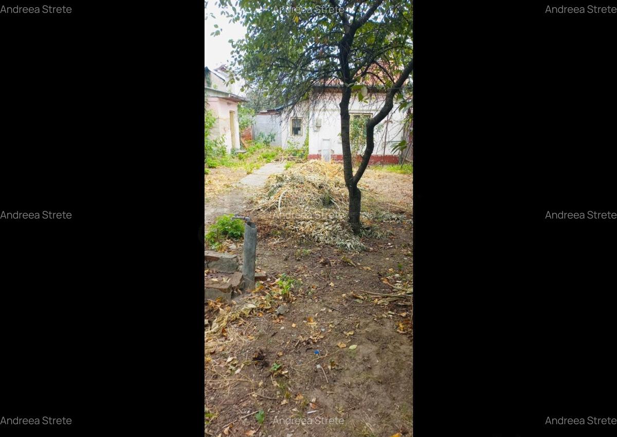 Teren cu casa de Bucurestii Noi I Parc Bazilescu - 3