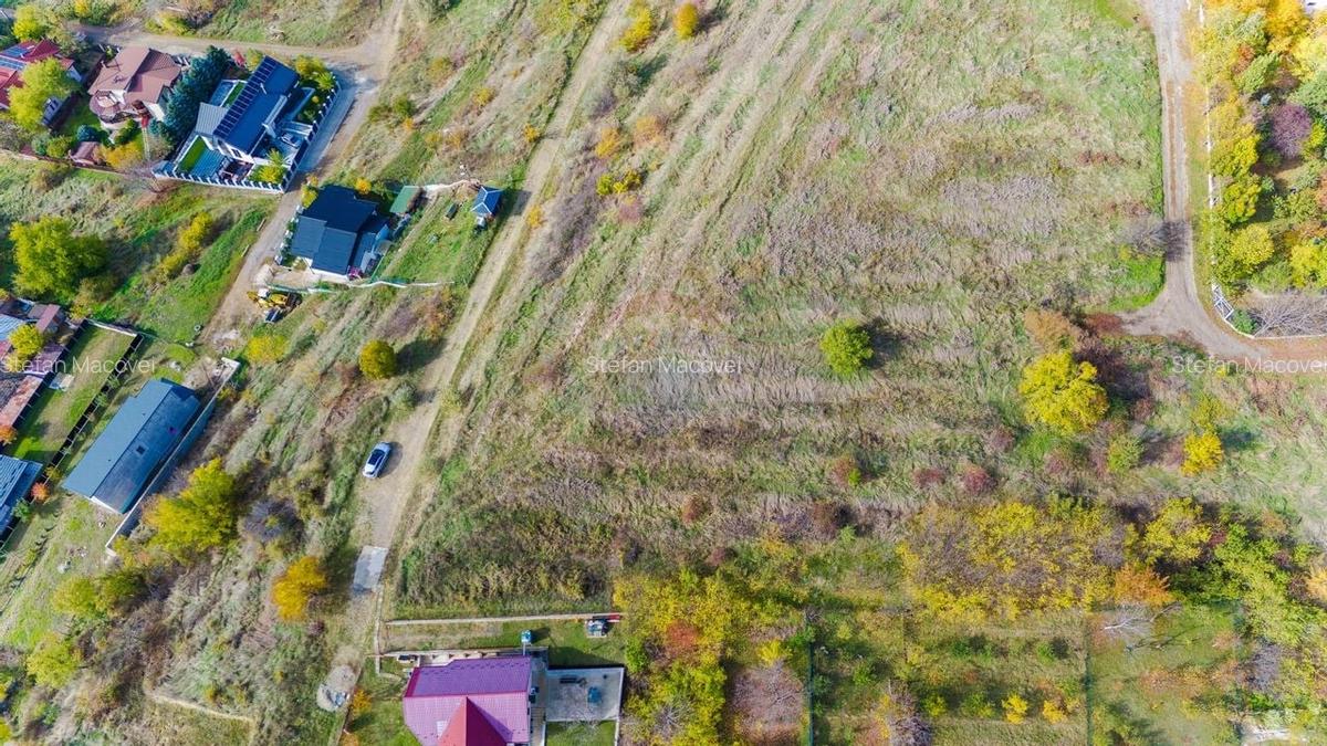 De Vanzare Teren Intravilan de 1,000mp Iasi | Aleea Plopii Fara Sot - 3 De Vanzare Teren Intravilan de 1,000mp Iasi | Aleea Plopii Fara Sot - 3