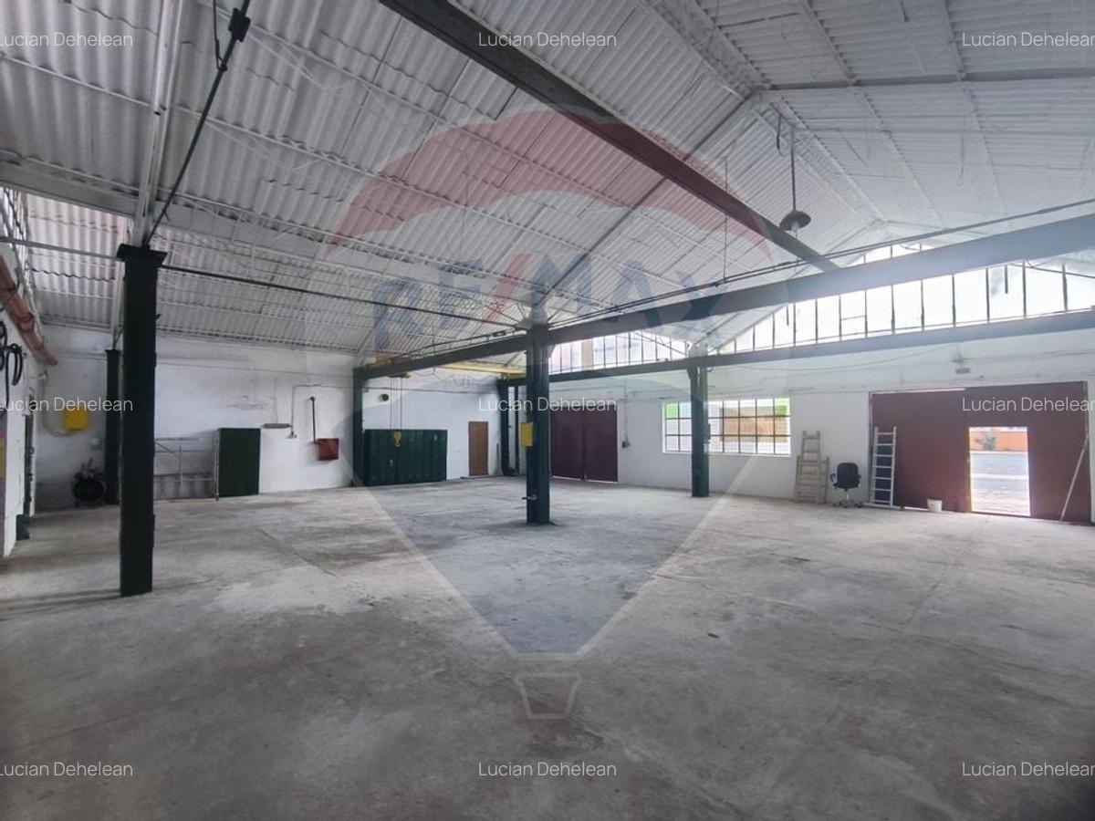Spatiu industrial de 435mp de inchiriat in zona Sannicolau Mic - 3