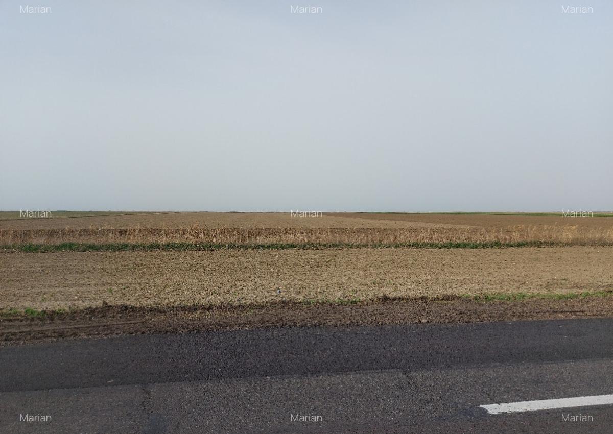 Teren agricol 50000m2 Silistea soseaua Focsani - 50000MP - 3