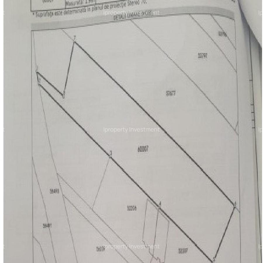 Teren 2000 Mp Dobroesti Deschidere 4 Ml - 5
